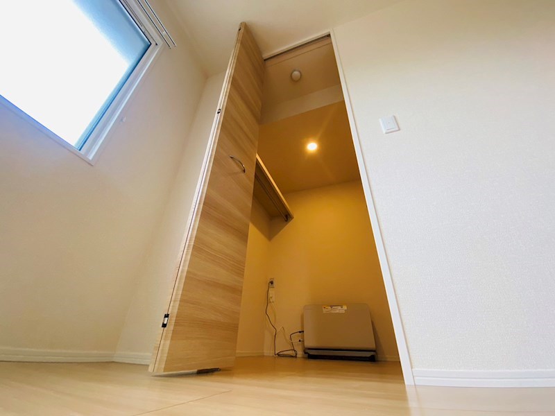 ルピナス その他3