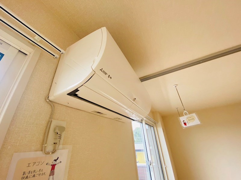 ルピナス その他4