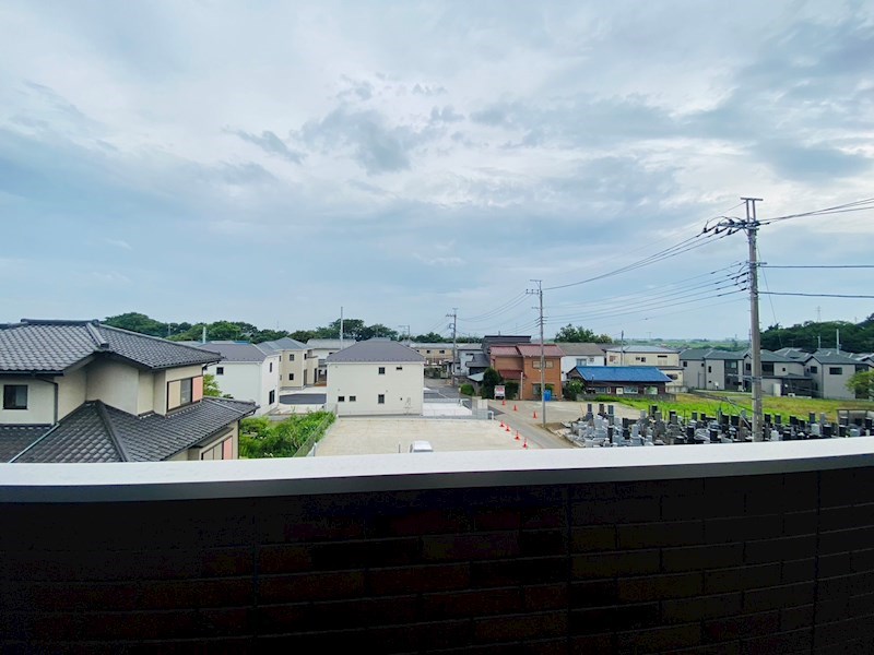 ルピナス その他6