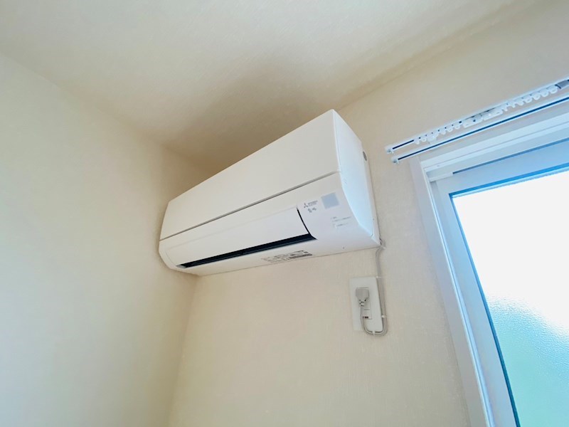 ルピナス その他11