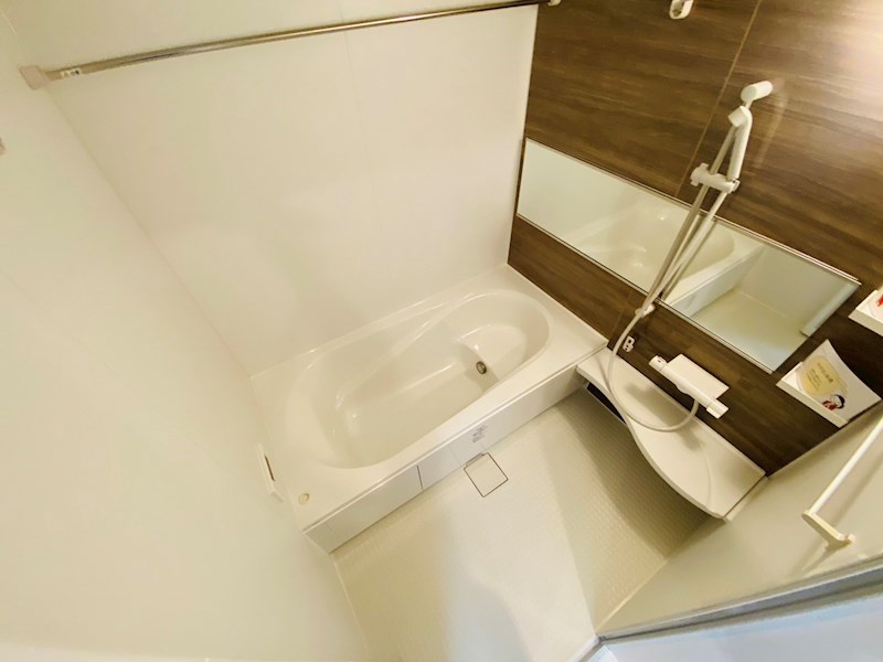 ルピナス その他15