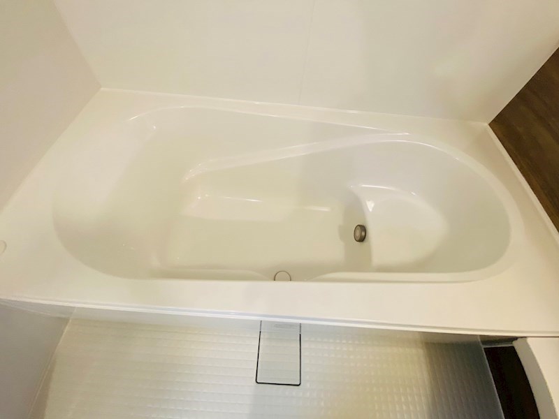 ルピナス その他16