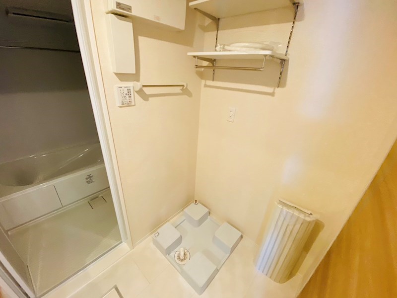 ルピナス その他21