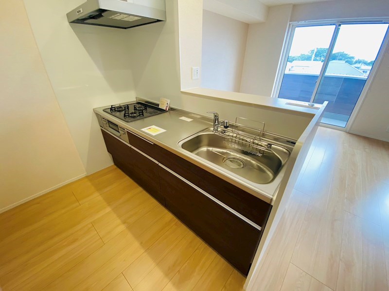 ルピナス その他23