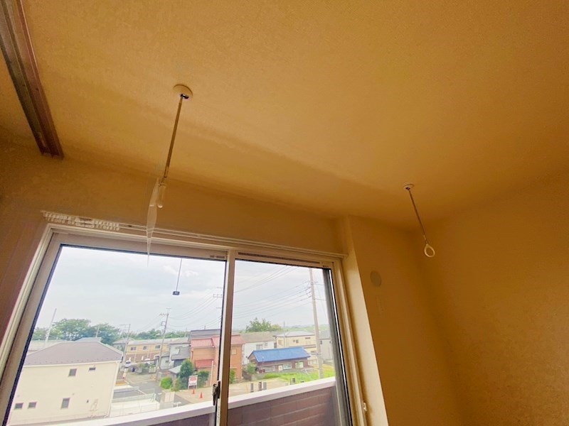 ルピナス その他37