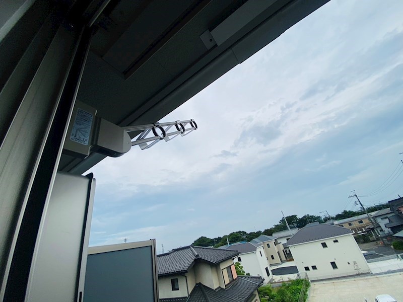 ルピナス その他40