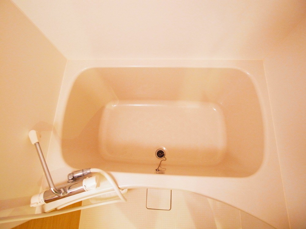 リブリ・セダム その他14