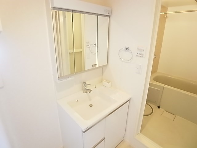 ラシーネ扇　アイリス その他2