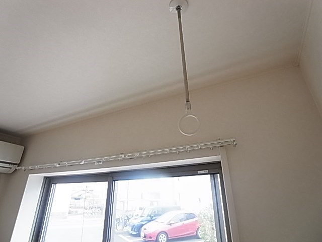 ラシーネ扇　アイリス その他6