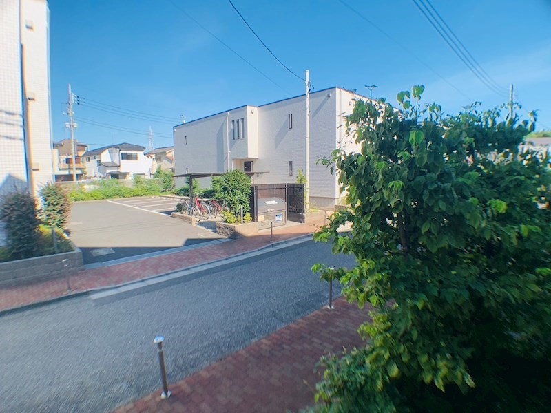 ラシーネ扇　サクラ その他6