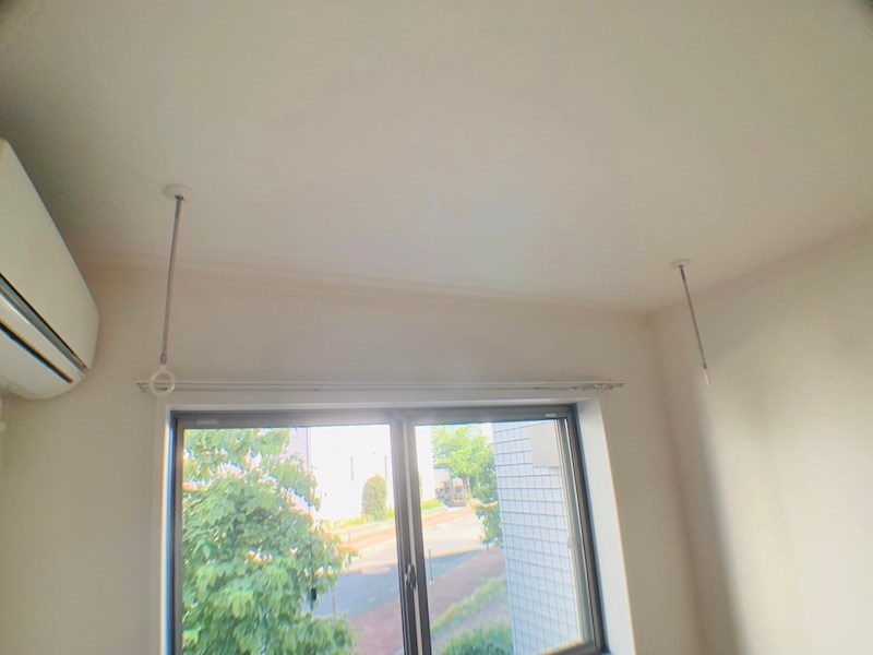 ラシーネ扇　サクラ その他11