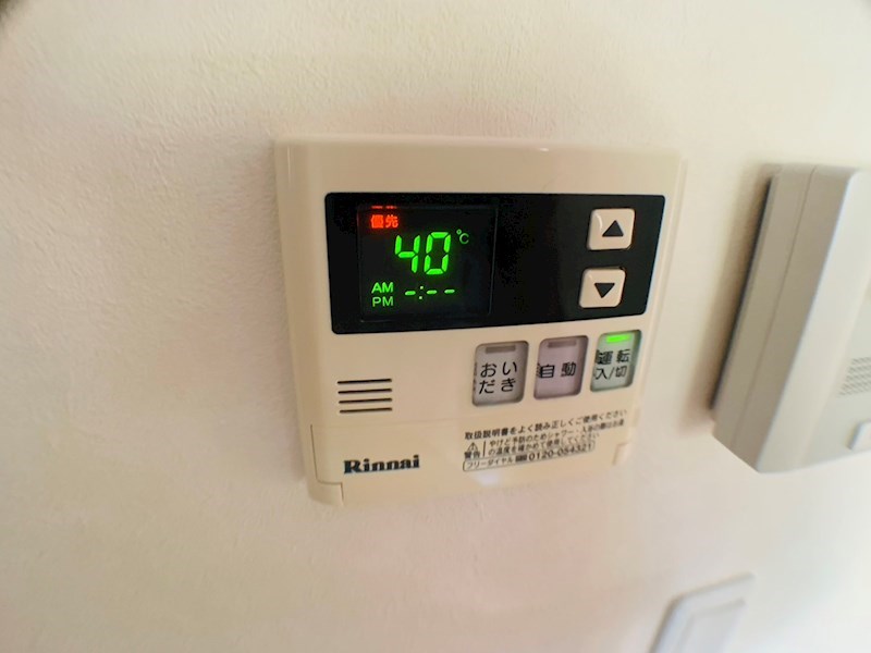 ラシーネ扇　サクラ その他12