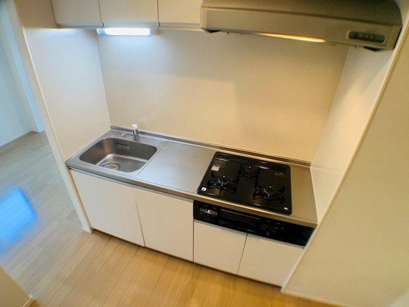 ラシーネ扇　サクラ その他24