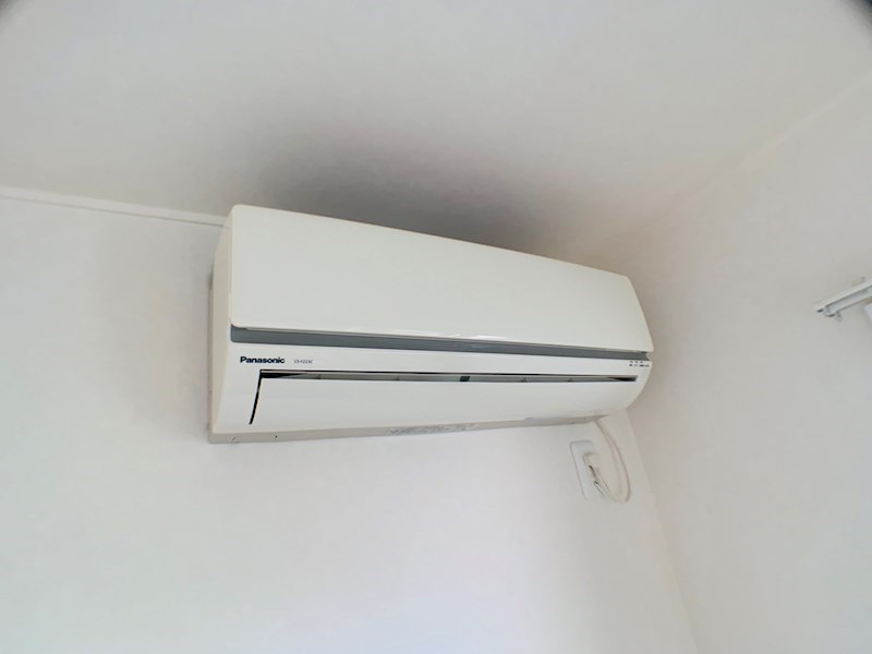 ラシーネ扇　サクラ その他28