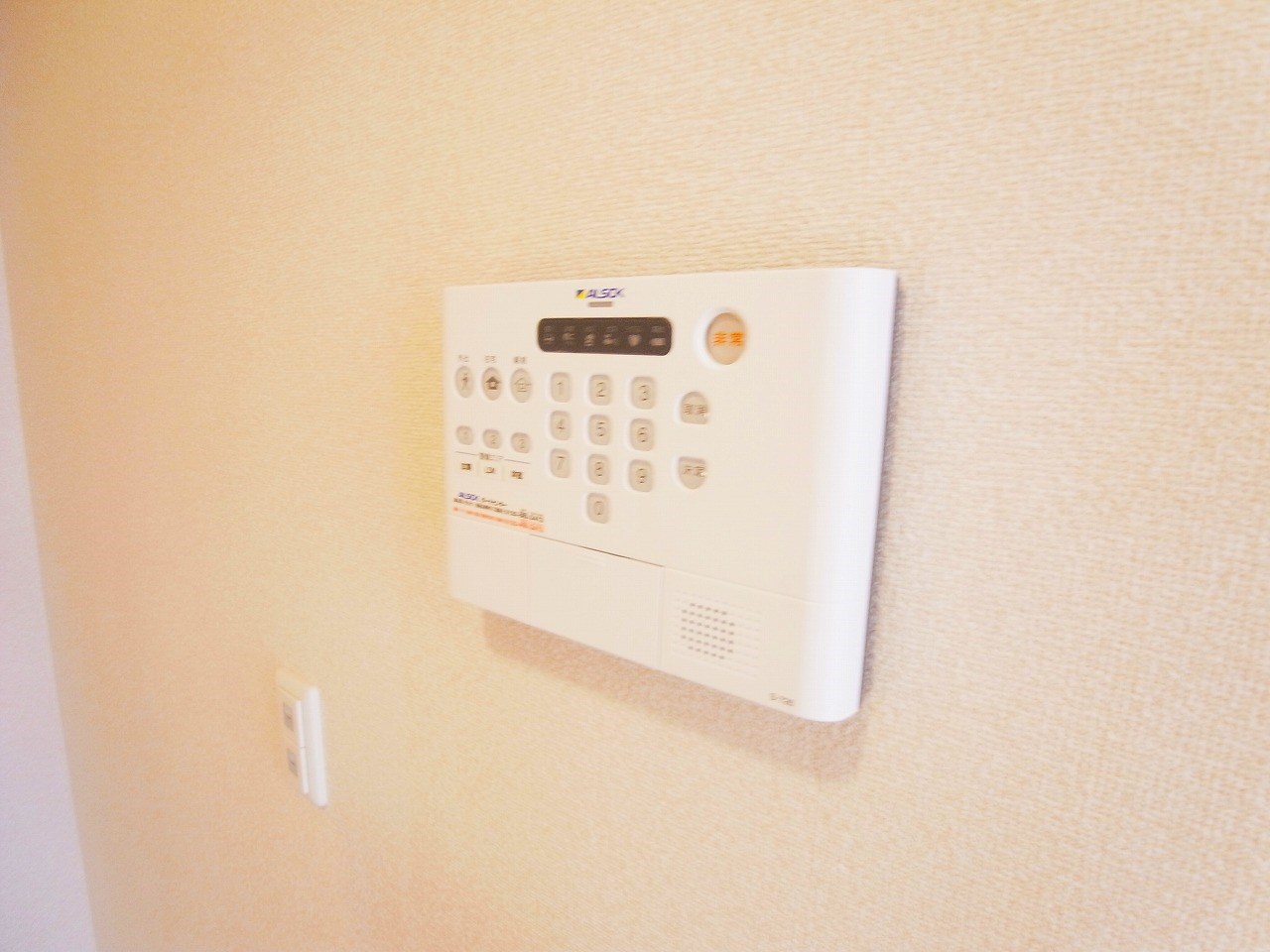 セジュールⅦ その他13