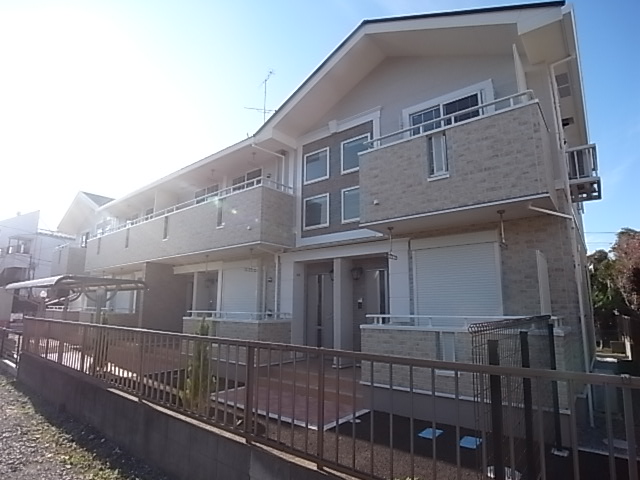 ビオラ その他外観5