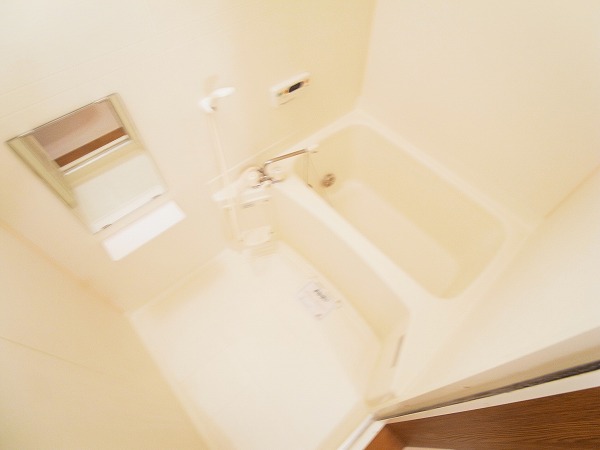 パルテールⅡ 風呂画像