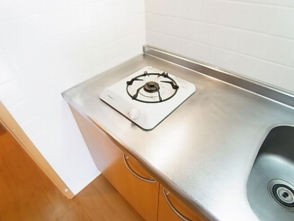 エバーグリーン本宿 その他13