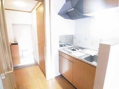 アリエーテⅡ その他21