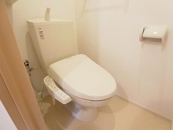 グラウカ その他1