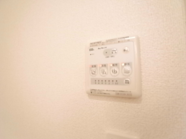 ピサンリ  その他5