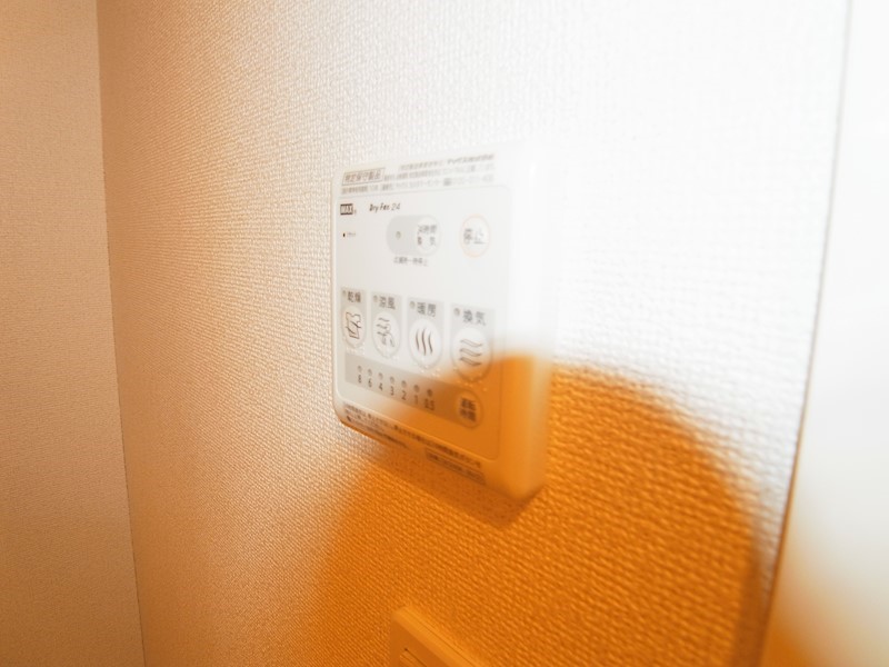 ピサンリ  その他7