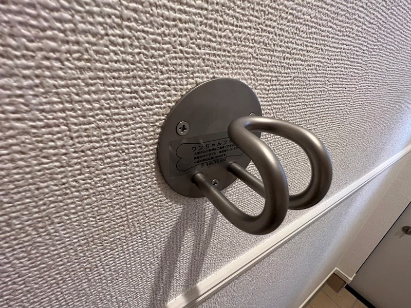 レーニアⅡ その他17