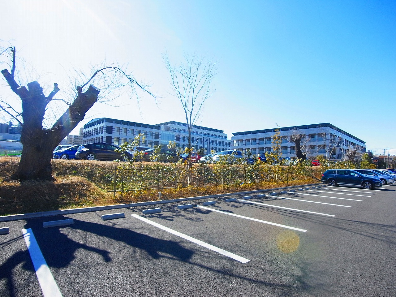 ART RESIDENCE IN KASHIWA-no-HA 周辺画像2