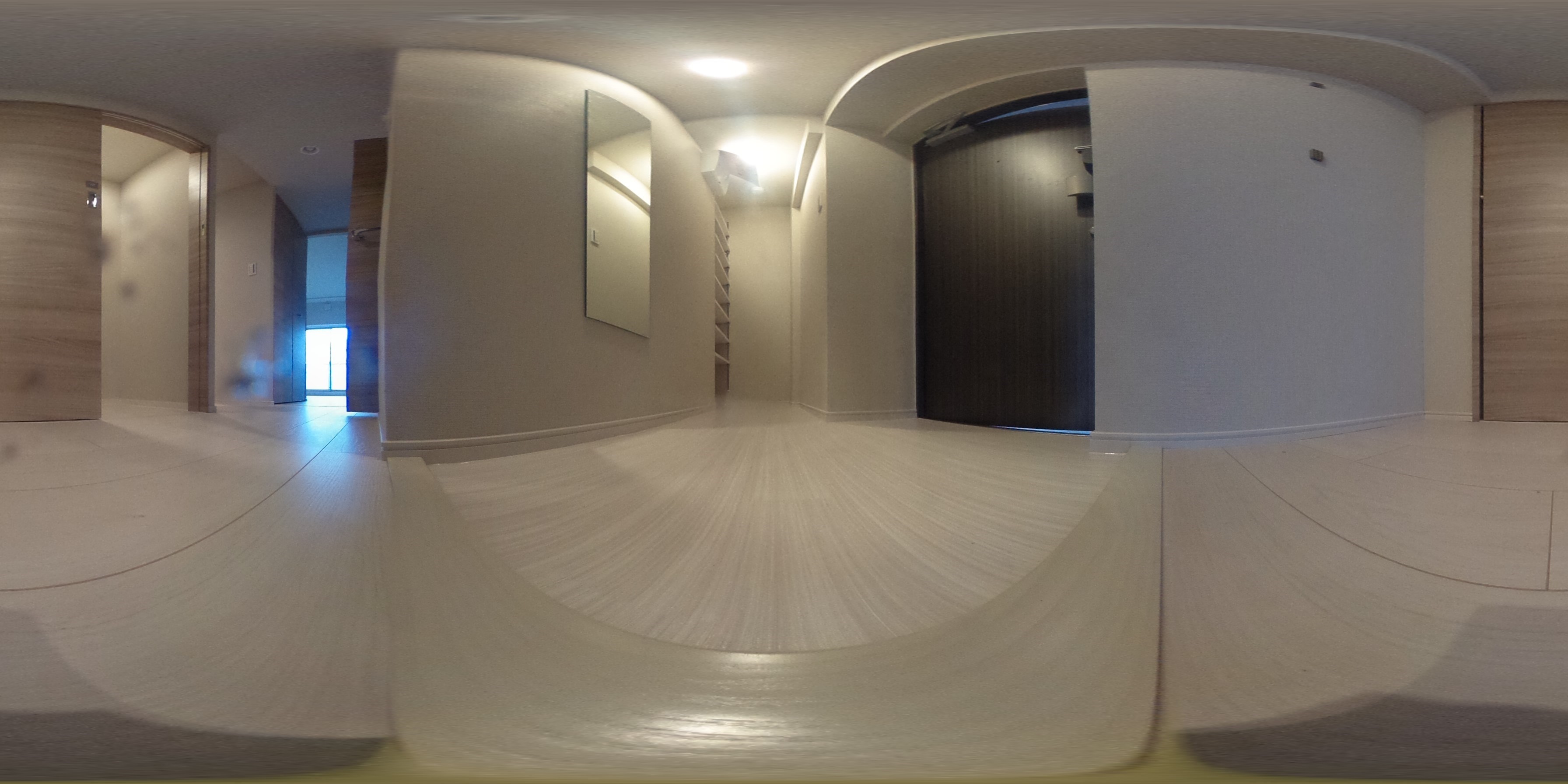 ART RESIDENCE IN KASHIWA-no-HA 玄関