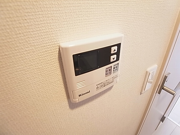 リブリ・ラルジュ その他13