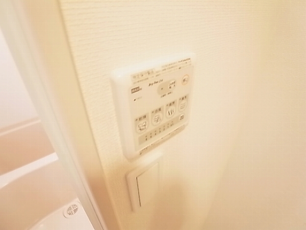 リブリ・ラルジュ その他15