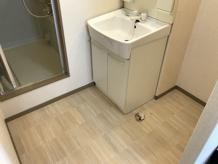 サザンハートA 洗面所