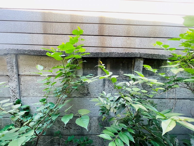 コートM＆A Part7 その他6