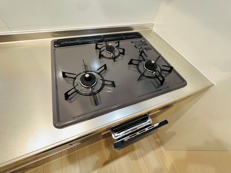 プレジール南柏 その他11