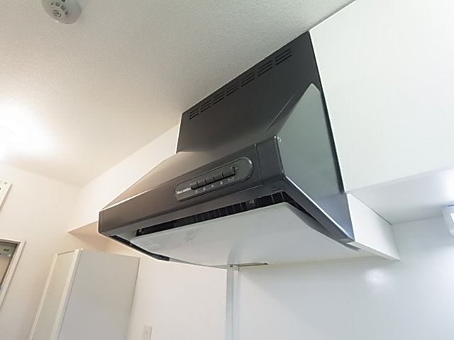 ソフィテル２ その他11