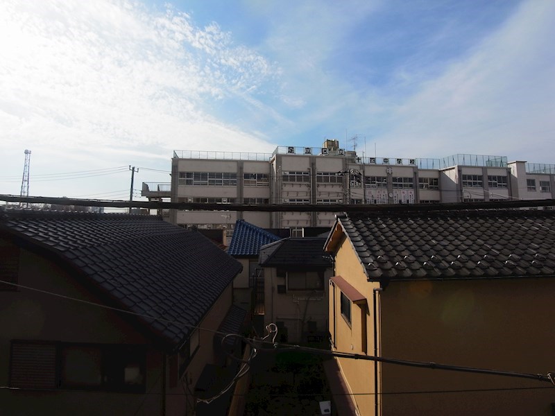 桜華杏 その他5