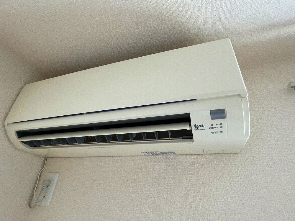 サザンEX1 その他5