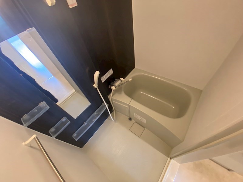 ＭＩＪＡＳ　Ｋａｍｅａｒｉ－ＥＳＴＥ その他13