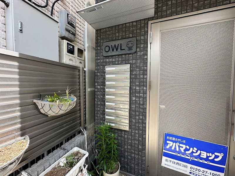 ＯＷＬ その他