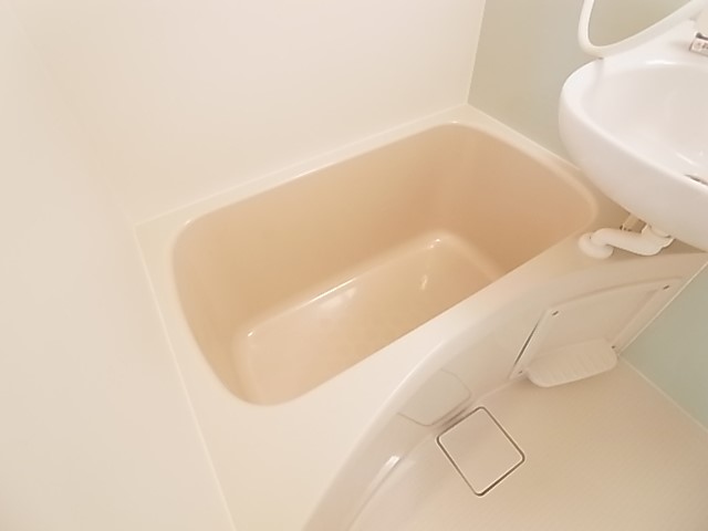 ミレアビターレ北千住 その他11