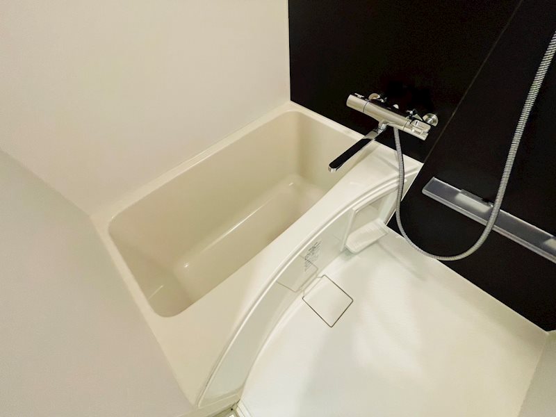 リヴシティ堀切菖蒲園 風呂画像