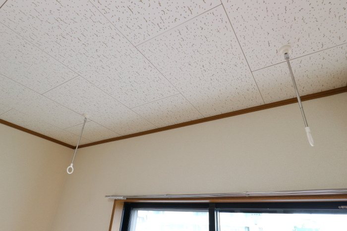 ジュリア その他8