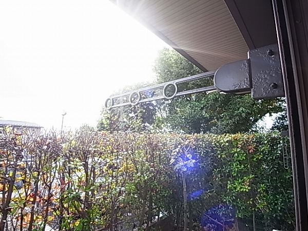 リシアンサス・ガーデンＦ その他5