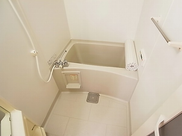 リシアンサス・ガーデンＦ 風呂画像