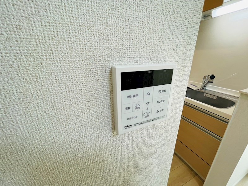 ペルル・ジェモー その他26