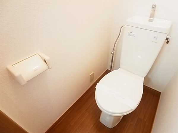 シャインブルー その他1