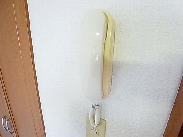 シャインブルー その他5