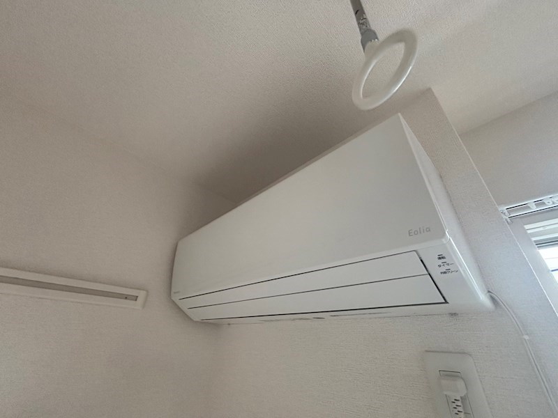 プラシード その他5