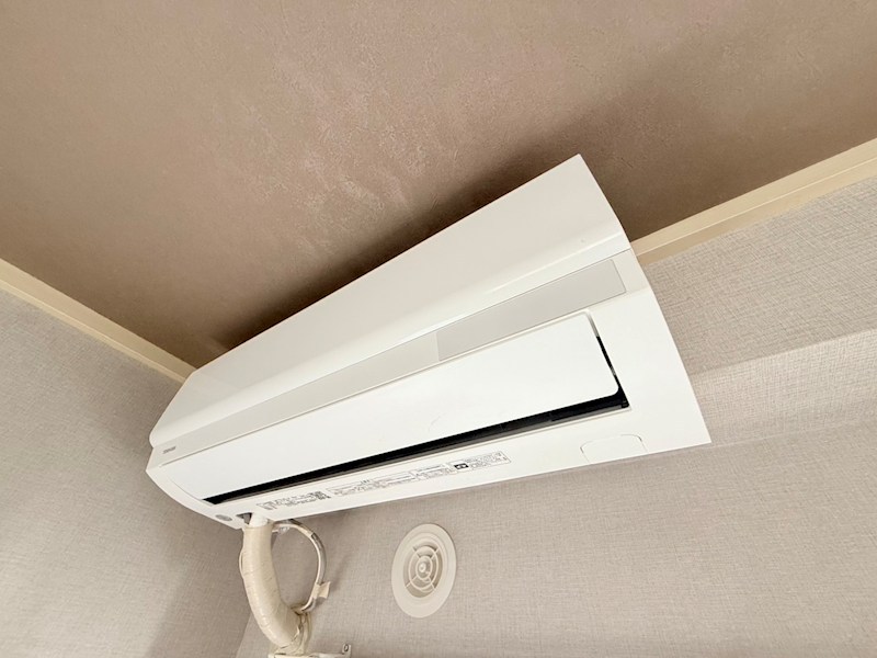 プリマヴェーラ その他5