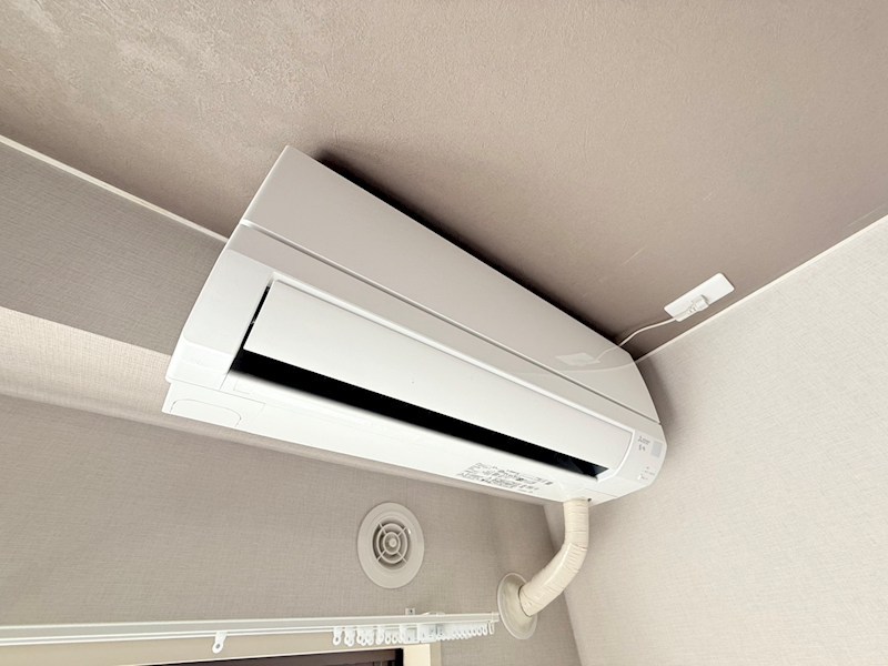 プリマヴェーラ その他23